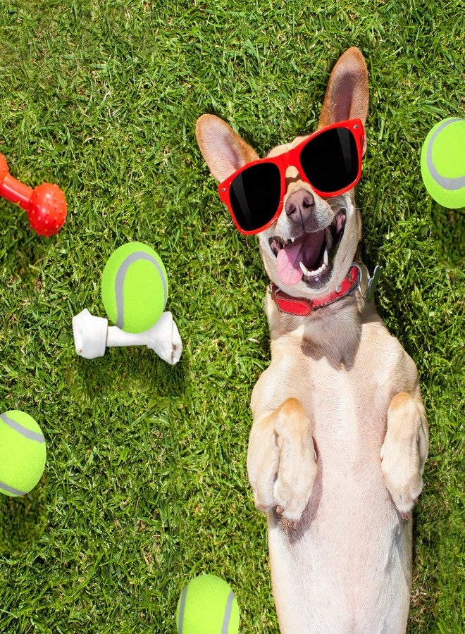Yunsailing 50 Packs Small Tennis Balls for Dogs Bulk Dog Toys Pet Interactive Mini Tennis Balls for Training Play Exercise and Fetch(Yellow) - Image 5